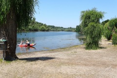 DSC00704_1600